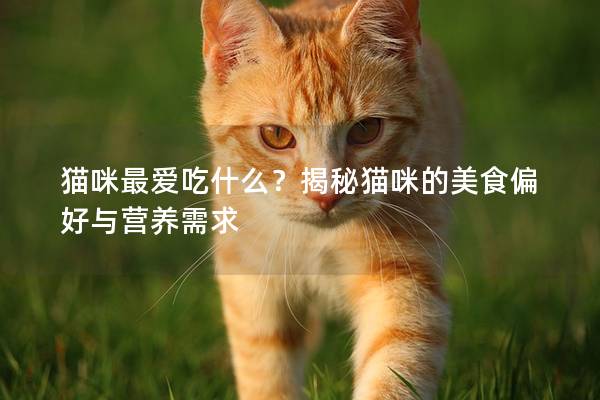 猫咪最爱吃什么？揭秘猫咪的美食偏好与营养需求