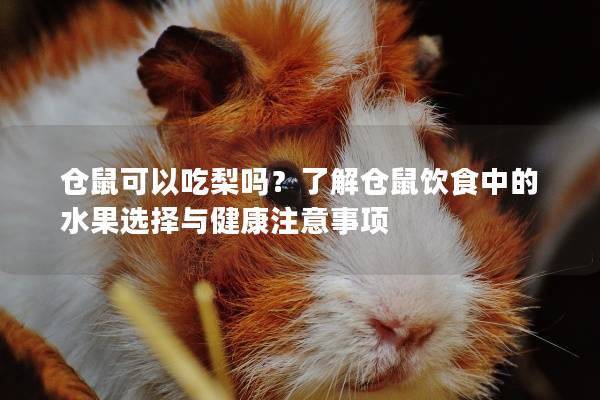 仓鼠可以吃梨吗？了解仓鼠饮食中的水果选择与健康注意事项