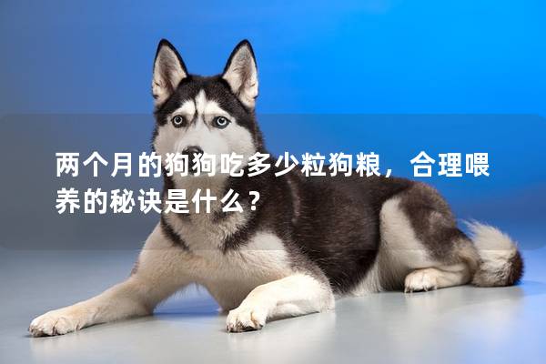 两个月的狗狗吃多少粒狗粮，合理喂养的秘诀是什么？
