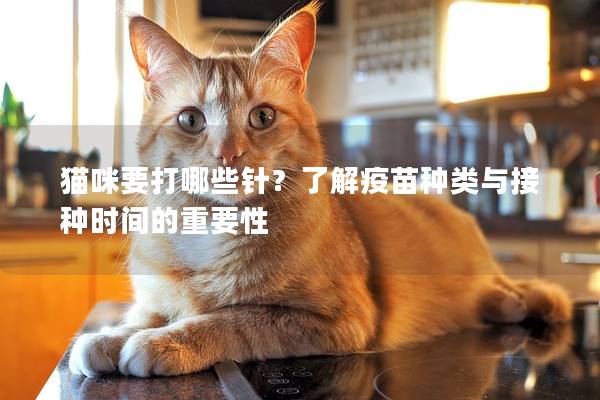 猫咪要打哪些针？了解疫苗种类与接种时间的重要性