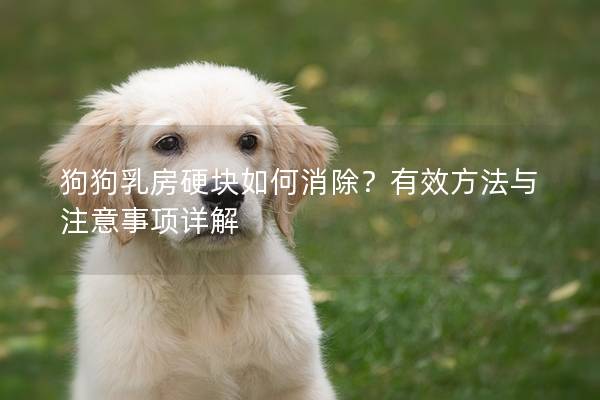 狗狗乳房硬块如何消除？有效方法与注意事项详解