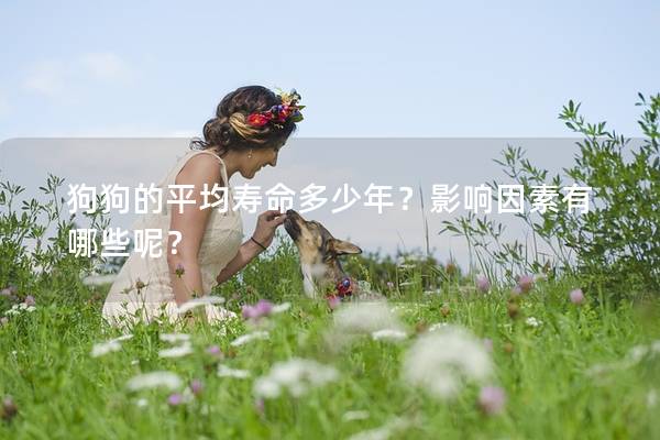 狗狗的平均寿命多少年?影响因素有哪些呢? 狗狗的平均寿命多少年?影响因素有哪些呢?