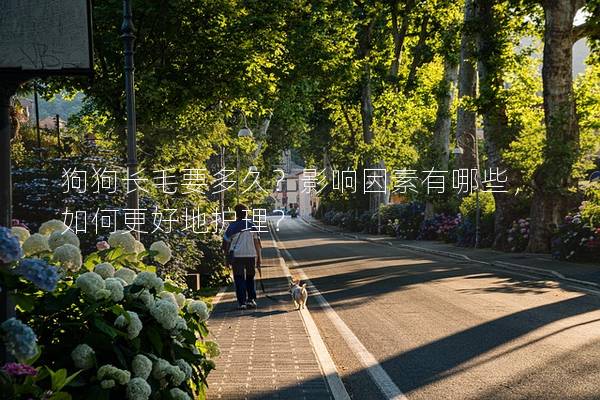 狗狗长毛要多久?影响因素有哪些,如何更好地护理? 狗狗长毛要多久?影响因素有哪些,如何更好地护理?