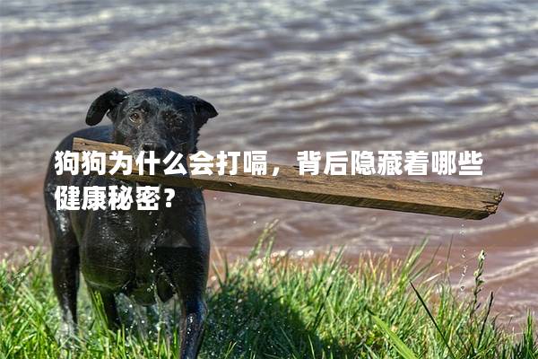 狗狗为什么会打嗝，背后隐藏着哪些健康秘密？