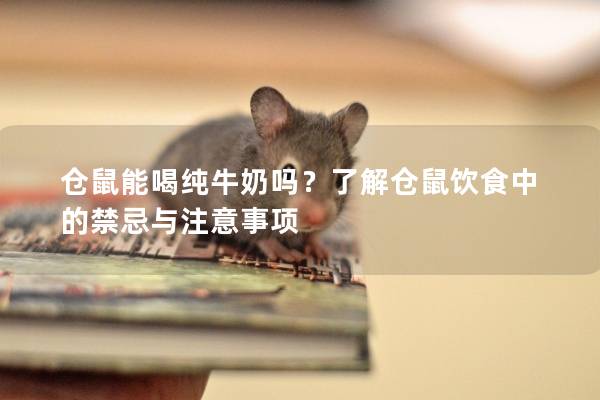 仓鼠能喝纯牛奶吗？了解仓鼠饮食中的禁忌与注意事项