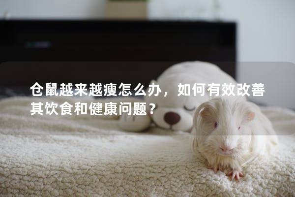 仓鼠越来越瘦怎么办，如何有效改善其饮食和健康问题？