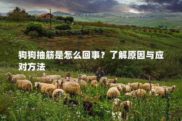 狗狗抽筋是怎么回事？了解原因与应对方法