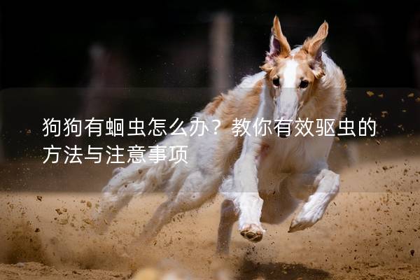 狗狗有蛔虫怎么办？教你有效驱虫的方法与注意事项
