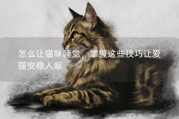怎么让猫咪睡觉，掌握这些技巧让爱猫安稳入眠