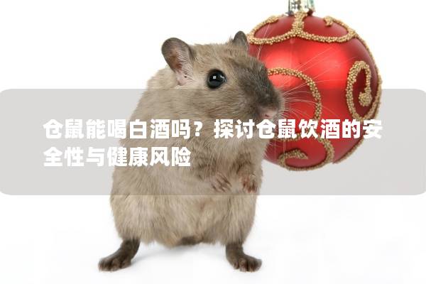 仓鼠能喝白酒吗？探讨仓鼠饮酒的安全性与健康风险