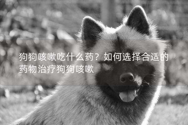 狗狗咳嗽吃什么药？如何选择合适的药物治疗狗狗咳嗽