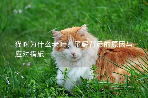 猫咪为什么老吐？了解背后的原因与应对措施
