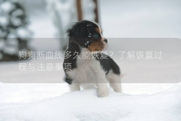 狗狗断血线多久能恢复？了解恢复过程与注意事项