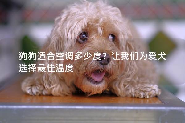 狗狗适合空调多少度?让我们为爱犬选择最佳温度 狗狗适合空调多少度?让我们为爱犬选择最佳温度