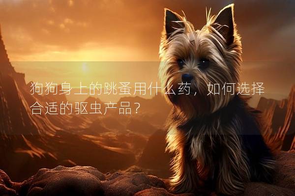 狗狗身上的跳蚤用什么药，如何选择合适的驱虫产品？