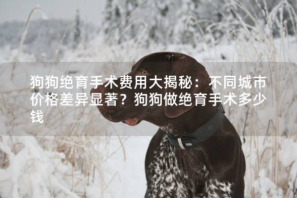狗狗绝育手术费用大揭秘：不同城市价格差异显著？狗狗做绝育手术多少钱