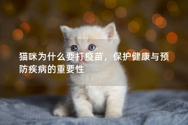 猫咪为什么要打疫苗，保护健康与预防疾病的重要性