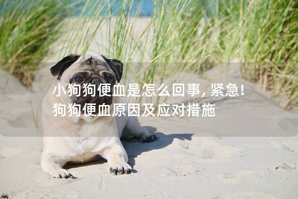小狗狗便血是怎么回事, 紧急! 狗狗便血原因及应对措施 小狗狗便血是怎么回事, 紧急! 狗狗便血原因及应对措施