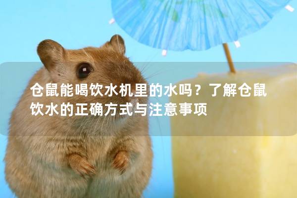 仓鼠能喝饮水机里的水吗？了解仓鼠饮水的正确方式与注意事项
