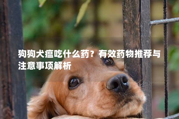 狗狗犬瘟吃什么药?有效药物推荐与注意事项解析 狗狗犬瘟吃什么药?有效药物推荐与注意事项解析