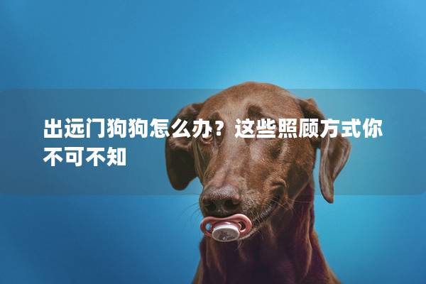 出远门狗狗怎么办?这些照顾方式你不可不知 出远门狗狗怎么办?这些照顾方式你不可不知