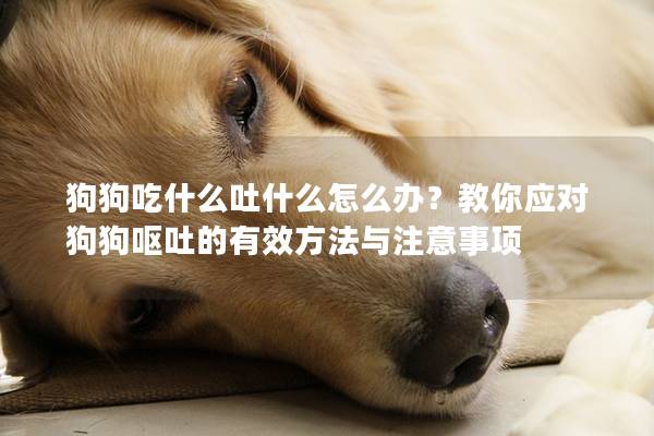 狗狗吃什么吐什么怎么办？教你应对狗狗呕吐的有效方法与注意事项