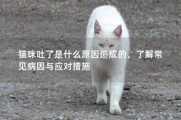 猫咪吐了是什么原因造成的，了解常见病因与应对措施