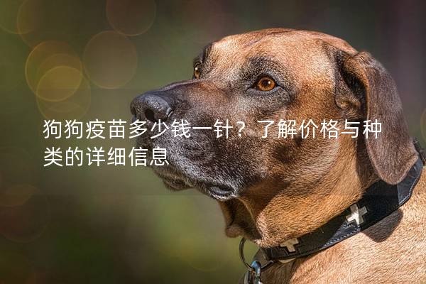 狗狗疫苗多少钱一针?了解价格与种类的详细信息 狗狗疫苗多少钱一针?了解价格与种类的详细信息