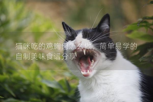 猫咪吃的鸡胸肉怎么做，简单易学的自制美味食谱分享