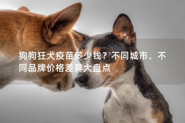 狗狗狂犬疫苗多少钱？不同城市、不同品牌价格差异大盘点