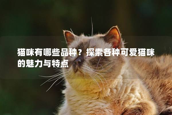 猫咪有哪些品种?探索各种可爱猫咪的魅力与特点 猫咪有哪些品种?探索各种可爱猫咪的魅力与特点