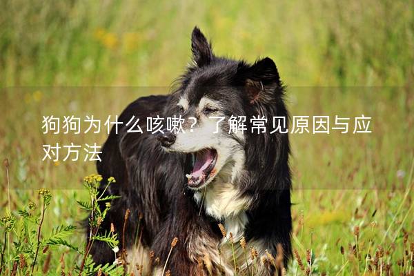 狗狗为什么咳嗽？了解常见原因与应对方法