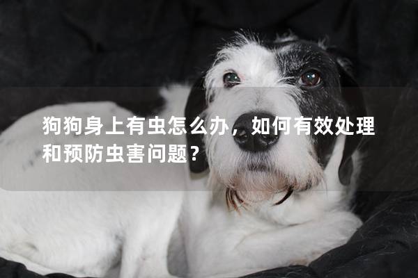 狗狗身上有虫怎么办，如何有效处理和预防虫害问题？