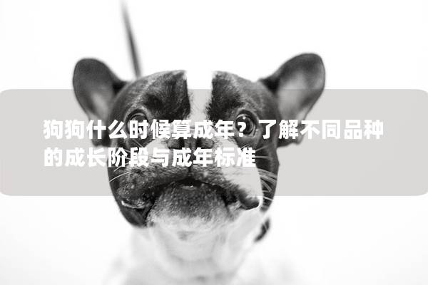 狗狗什么时候算成年?了解不同品种的成长阶段与成年标准 狗狗什么时候算成年?了解不同品种的成长阶段与成年标准