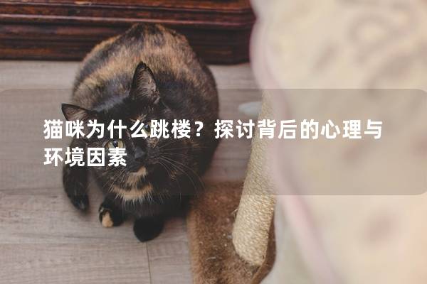猫咪为什么跳楼？探讨背后的心理与环境因素