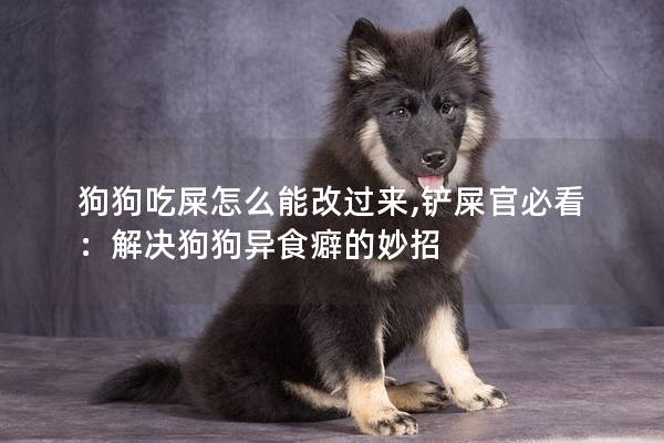 狗狗吃屎怎么能改过来,铲屎官必看:解决狗狗异食癖的妙招 狗狗吃屎怎么能改过来,铲屎官必看:解决狗狗异食癖的妙招