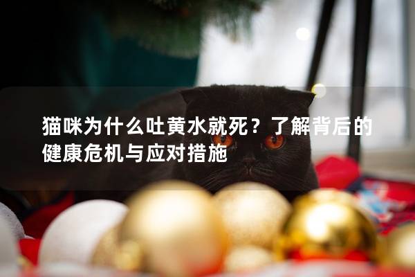 猫咪为什么吐黄水就死？了解背后的健康危机与应对措施