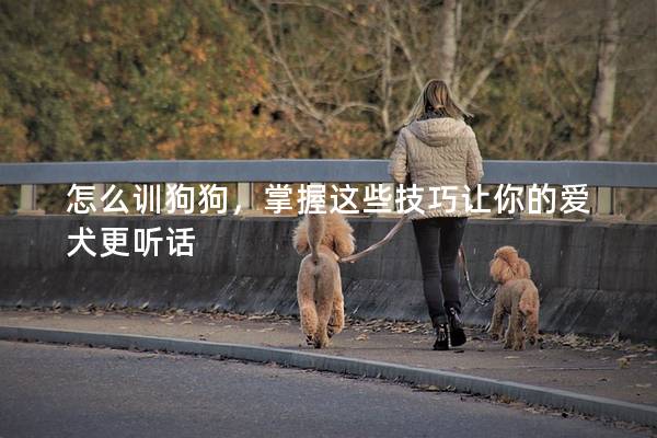 怎么训狗狗，掌握这些技巧让你的爱犬更听话