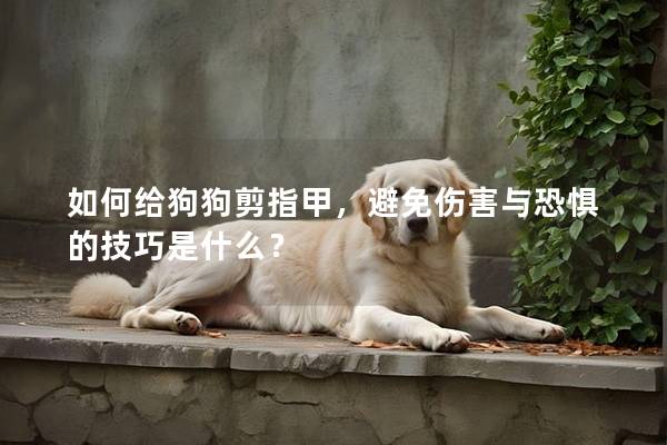如何给狗狗剪指甲，避免伤害与恐惧的技巧是什么？