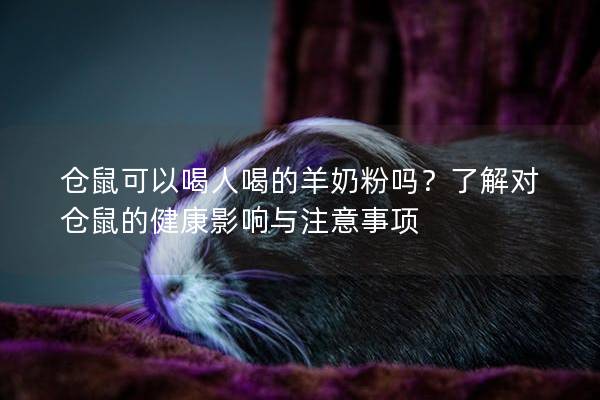 仓鼠可以喝人喝的羊奶粉吗？了解对仓鼠的健康影响与注意事项