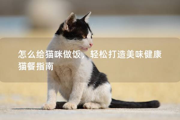怎么给猫咪做饭，轻松打造美味健康猫餐指南
