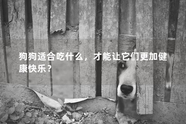 狗狗适合吃什么，才能让它们更加健康快乐？