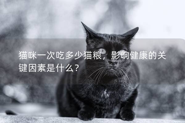 猫咪一次吃多少猫粮，影响健康的关键因素是什么？