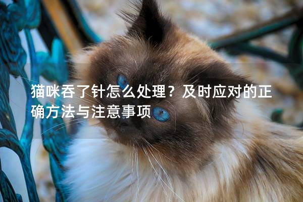 猫咪吞了针怎么处理？及时应对的正确方法与注意事项
