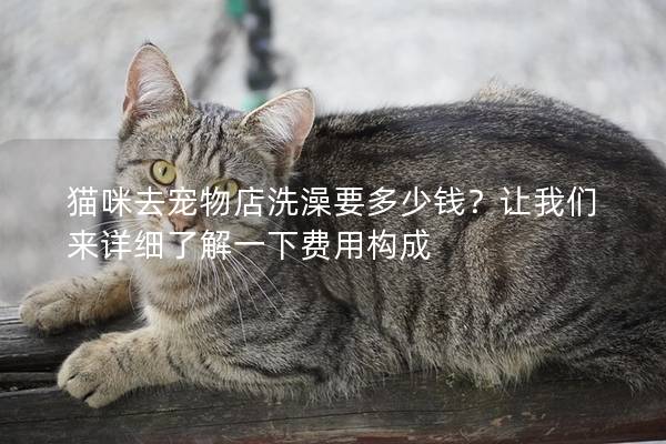 猫咪去宠物店洗澡要多少钱?让我们来详细了解一下费用构成 猫咪去宠物店洗澡要多少钱?让我们来详细了解一下费用构成