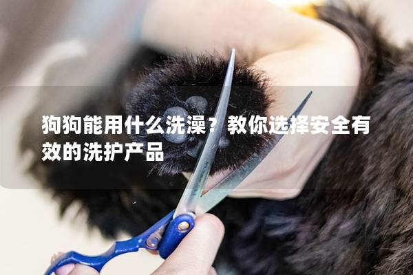 狗狗能用什么洗澡？教你选择安全有效的洗护产品