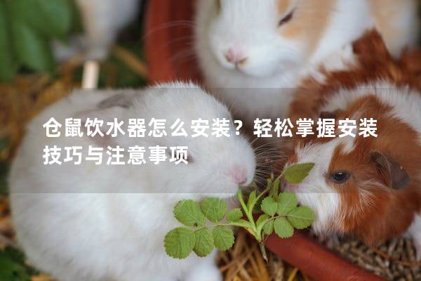仓鼠饮水器怎么安装？轻松掌握安装技巧与注意事项
