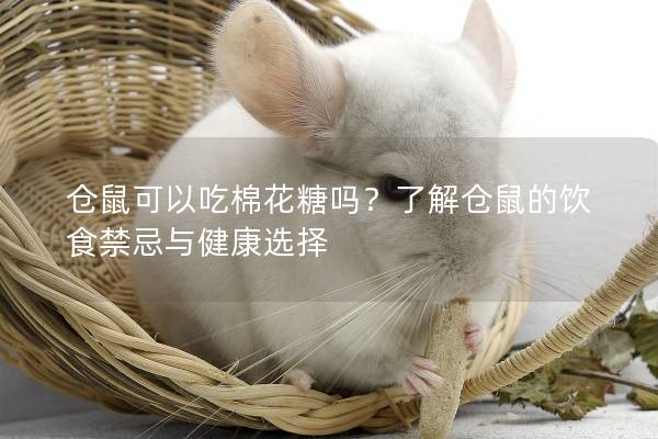 仓鼠可以吃棉花糖吗?了解仓鼠的饮食禁忌与健康选择 仓鼠可以吃棉花糖吗?了解仓鼠的饮食禁忌与健康选择