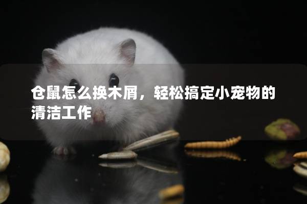 仓鼠怎么换木屑,轻松搞定小宠物的清洁工作 仓鼠怎么换木屑,轻松搞定小宠物的清洁工作