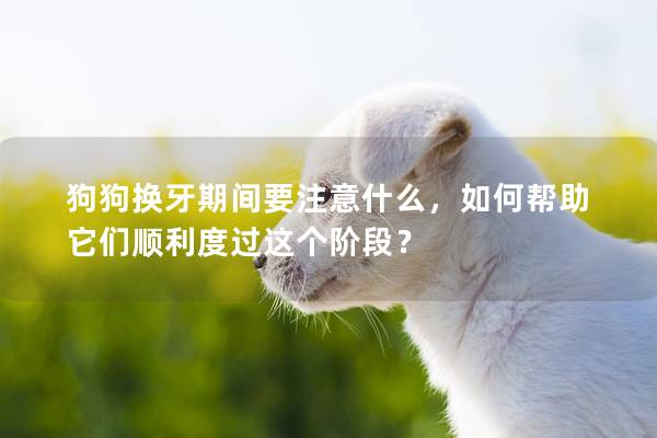 狗狗换牙期间要注意什么，如何帮助它们顺利度过这个阶段？